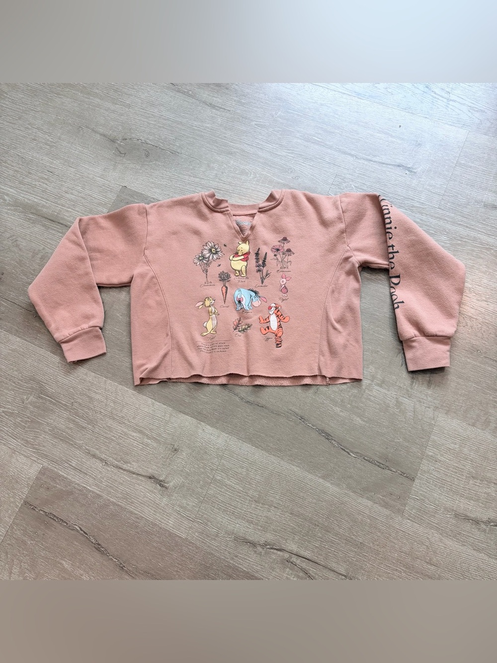 Winnie the Pooh Pink Pullover Sweatshirt Cropped Sz XS
